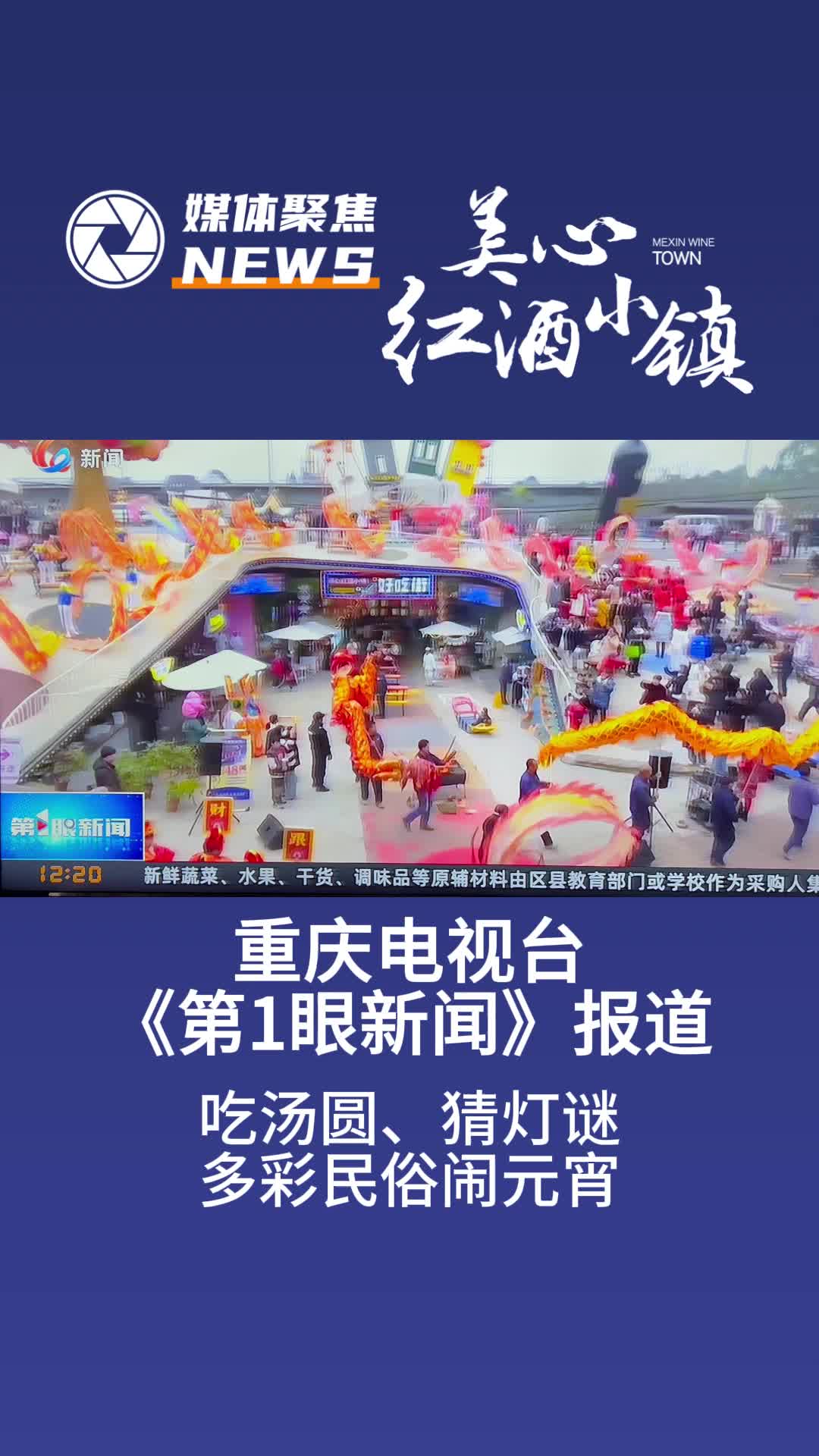 巴黎圣母院塔楼重新对外开放